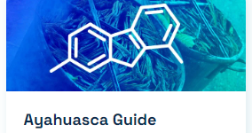 THE ULTIMATE GUIDE TO AYAHUASCA