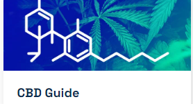 THE ULTIMATE GUIDE TO CBD