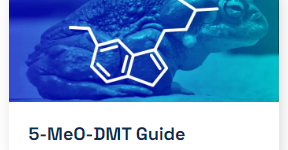 THE ULTIMATE GUIDE TO 5-MEO-DMT