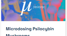 MICRODOSING PSILOCYBIN MUSHROOMS