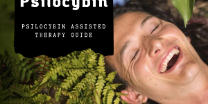 Psilocybin assisted therapy guide