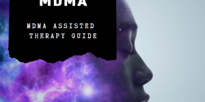 MDMA ASSISTED THERAPY GUIDE