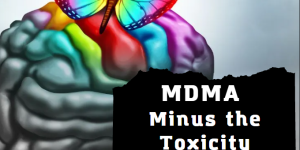 MDMA Toxicity