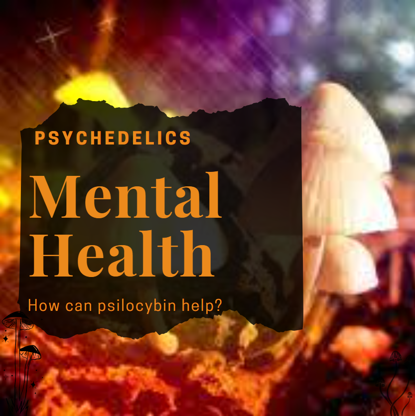 Psilocybin & Mental Health: How can psilocybin help?
