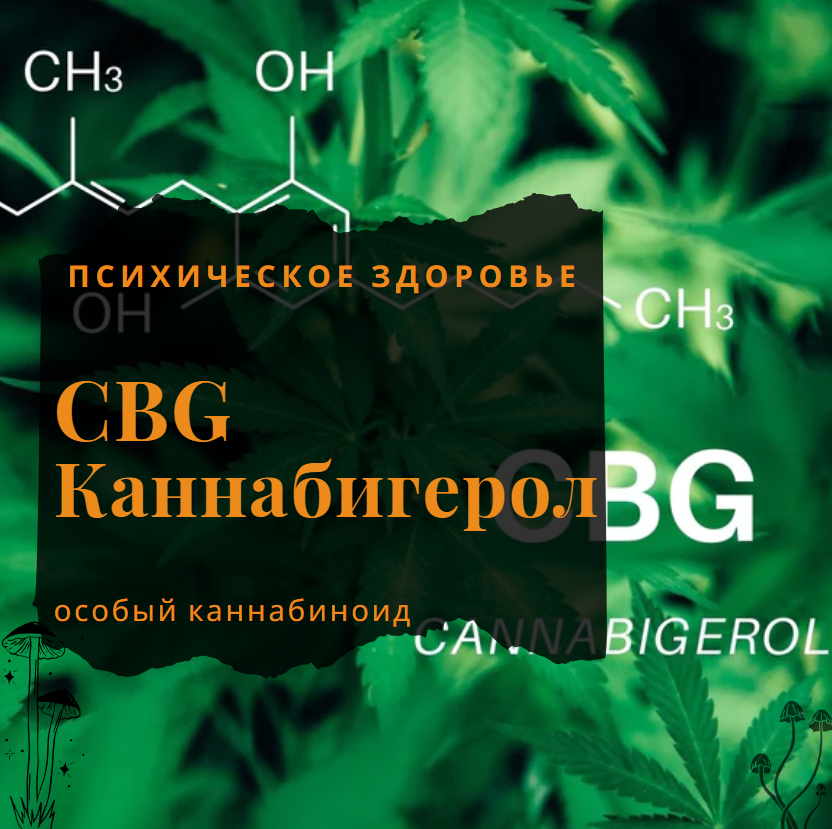 CBG КБГ Каннабигерол - Медицинаская конопля и ментальное здоровье