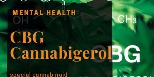 CBG CBG Cannabigerol - Medical cannabis and mental health