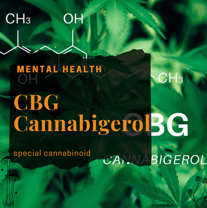 CBG CBG Cannabigerol - Medical cannabis and mental health