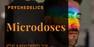 Why Consider Microdosing After a Psychedelic Journey?