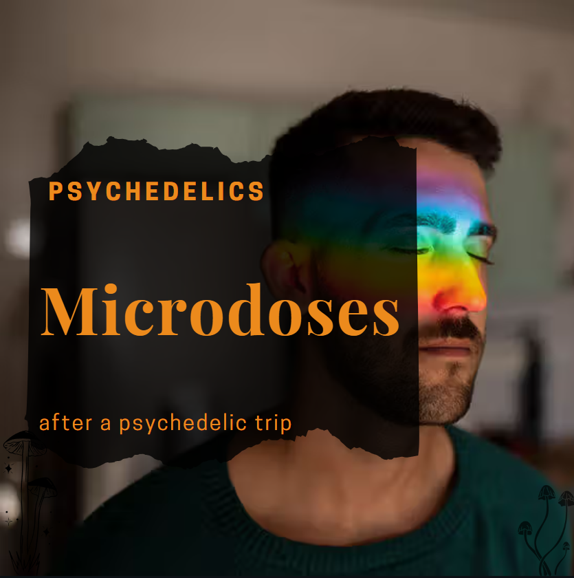 Why Consider Microdosing After a Psychedelic Journey?