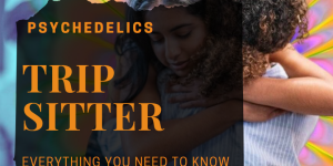 TRIP SITTER: EVERYTHING YOU NEED TO KNOW TO CHOOSE THE RIGHT ONE