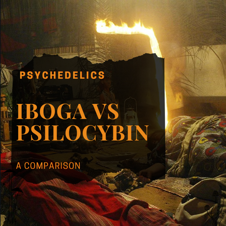 IBOGA RETREAT VS PSILOCYBIN RETREAT: A COMPARISON