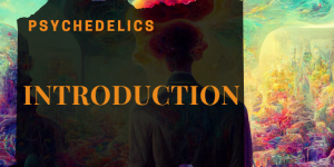 INTRODUCTION TO PSYCHEDELICS